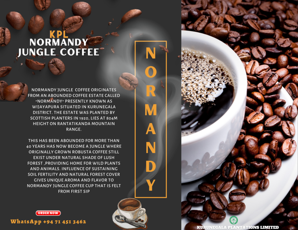 Jungle Coffee StoreKurunegalaplantations